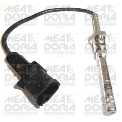 Sensor, exhaust gas temperature